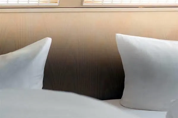 ***  Hotel Royal Frankfurt am Main Germany